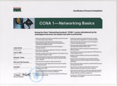 CCNA 1